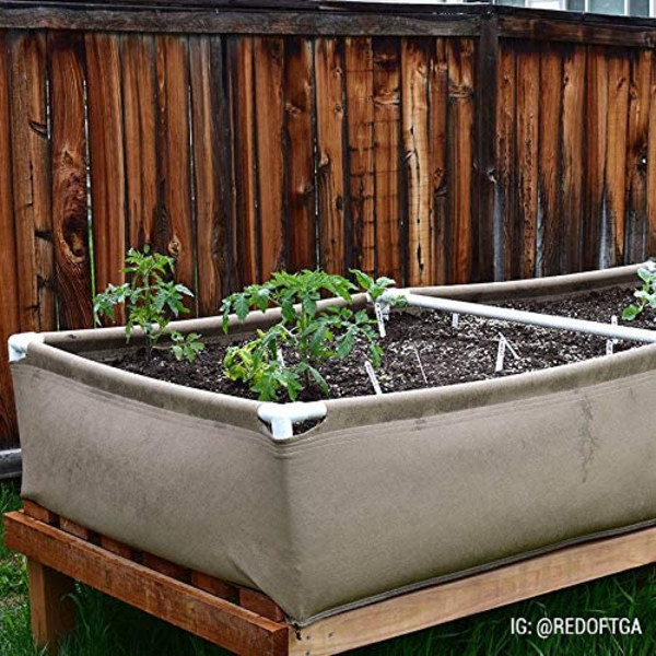 4' x 4' Grassroots Living Soil Bed 5
